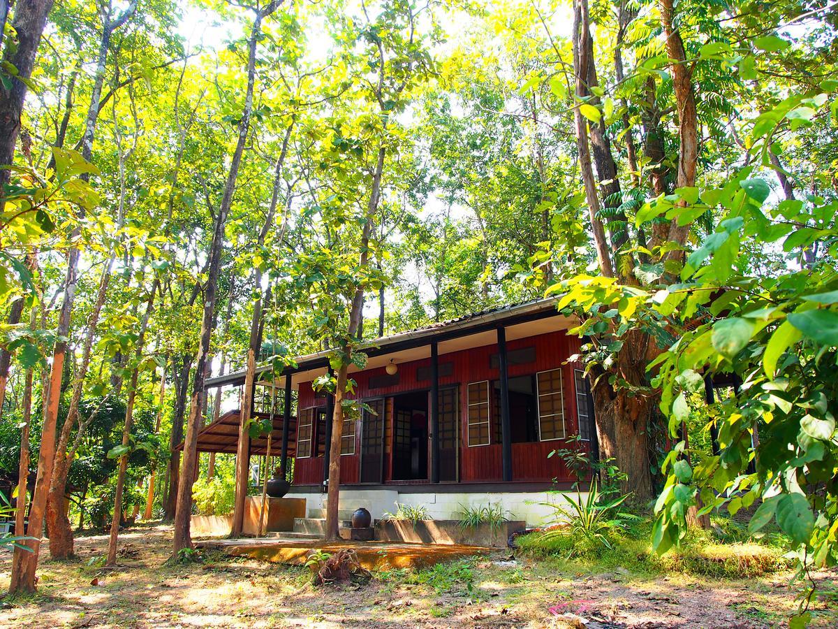 Golden Teak Homestay Mae Rim Buitenkant foto